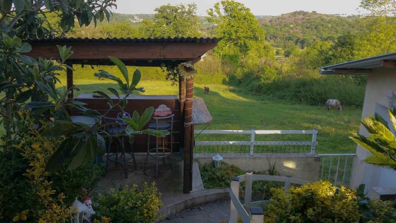 O'Jardin Bed and Breakfast Arthez-de-Bearn Εξωτερικό φωτογραφία
